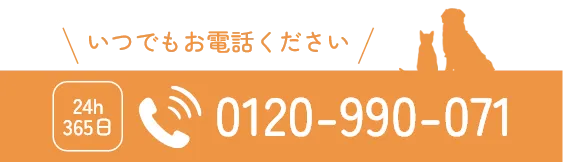 いつでもお電話ください