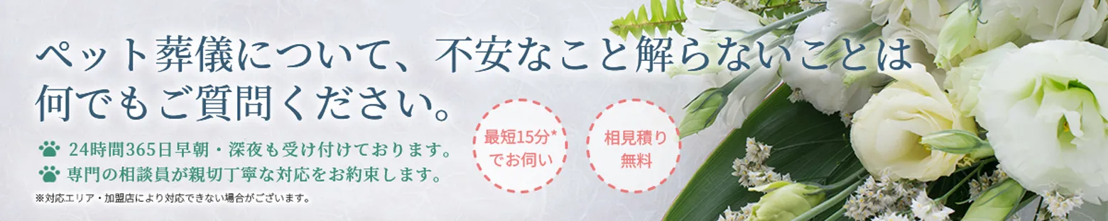 ペット葬儀について、不安なこと解らないことは何でもご質問ください。