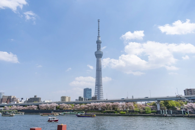 東京都墨田区でペット火葬業者を探すポイント