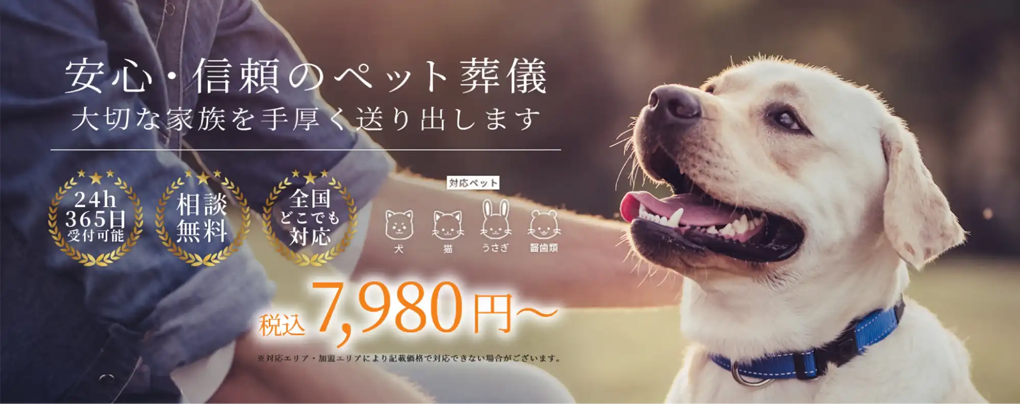 犬猫、小動物も対応可能！訪問ペット火葬を依頼するなら「よりそうペット葬」におまかせ