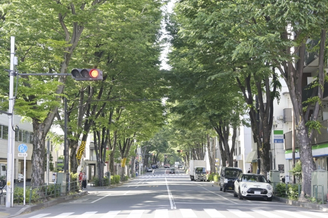 東京都杉並区で納骨や供養をするなら