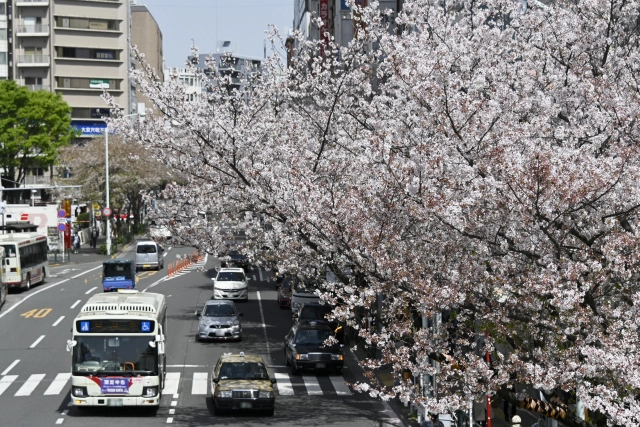 東京都中野区でペット葬儀を依頼するには