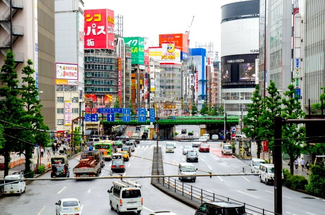 新宿区でペット葬儀を依頼するには？