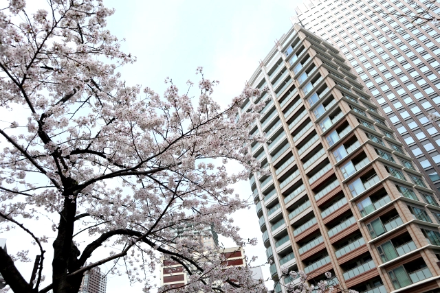 東京都目黒区でペットの火葬代はいくらかかる？