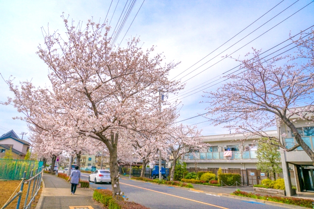 三鷹市でペット葬儀はどこに依頼すればいい？