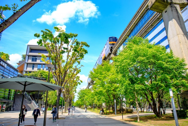 立川市でペット火葬を依頼するところ